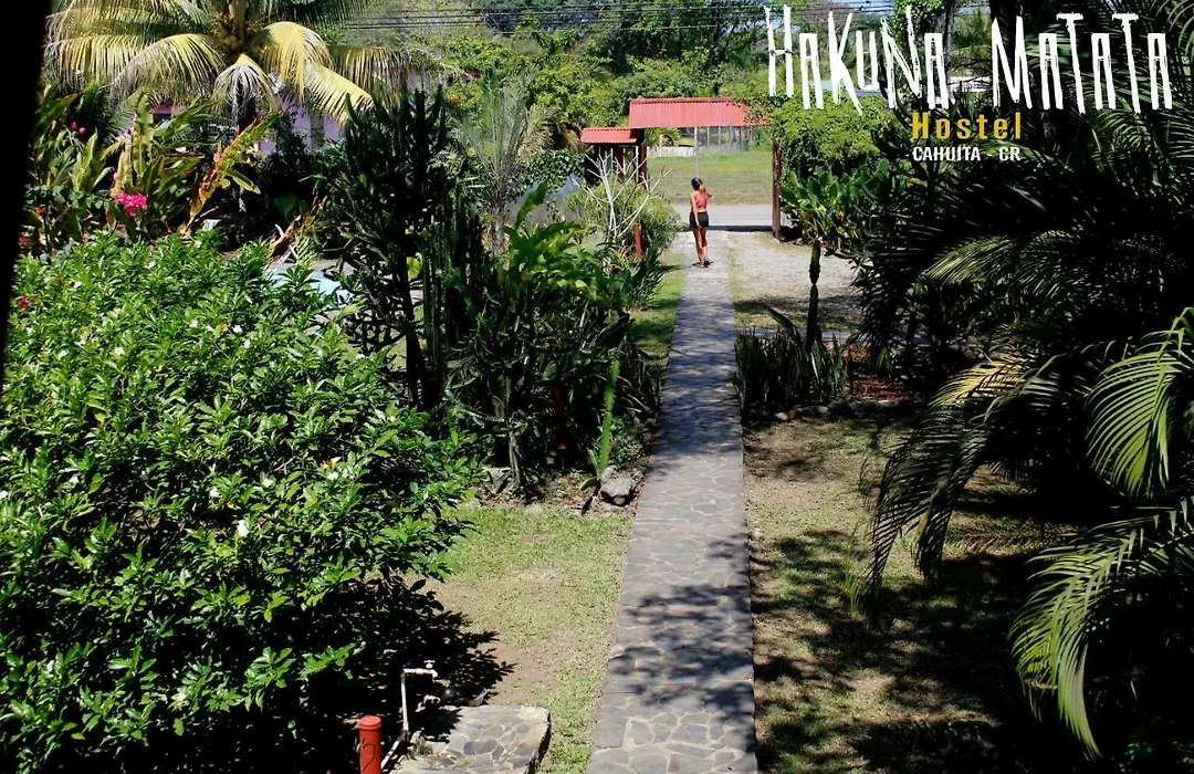 Hakuna Matata Hostel-1