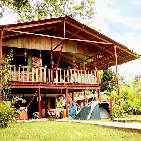 Hakuna Matata Hostel-2