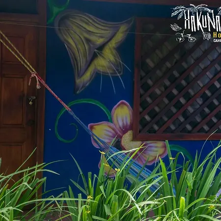 Hakuna Matata Hostel-3