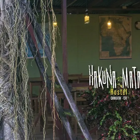 Hakuna Matata Hostel-3